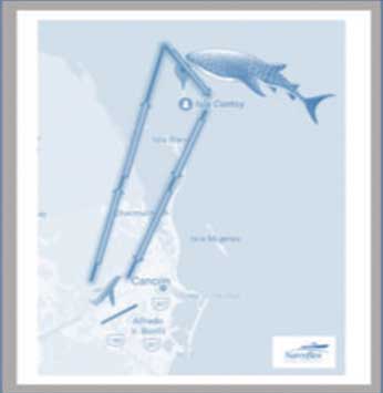Tours en Helicoptero en Cancun Renta de Avioneta privada para viajar a Holbox todo incluido Tiburon ballena