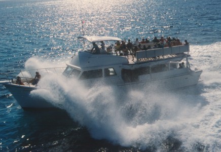 renta de yates en cancun - Defender 40 grupos barco para grupos grandes en Cancun. renta de yates en cancun