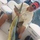 trophy-pro-23-fishing-charter-cancun-5