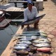 trophy-pro-23-fishing-charter-cancun-8